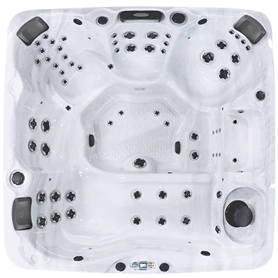 Avalon EC-867L hot tubs for sale in Woodland
